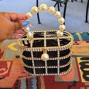 Cariedo Caged Bag with black insert.